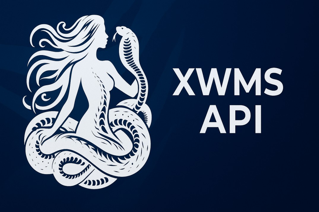 XWMS API – Secure & Scalable API Infrastructure